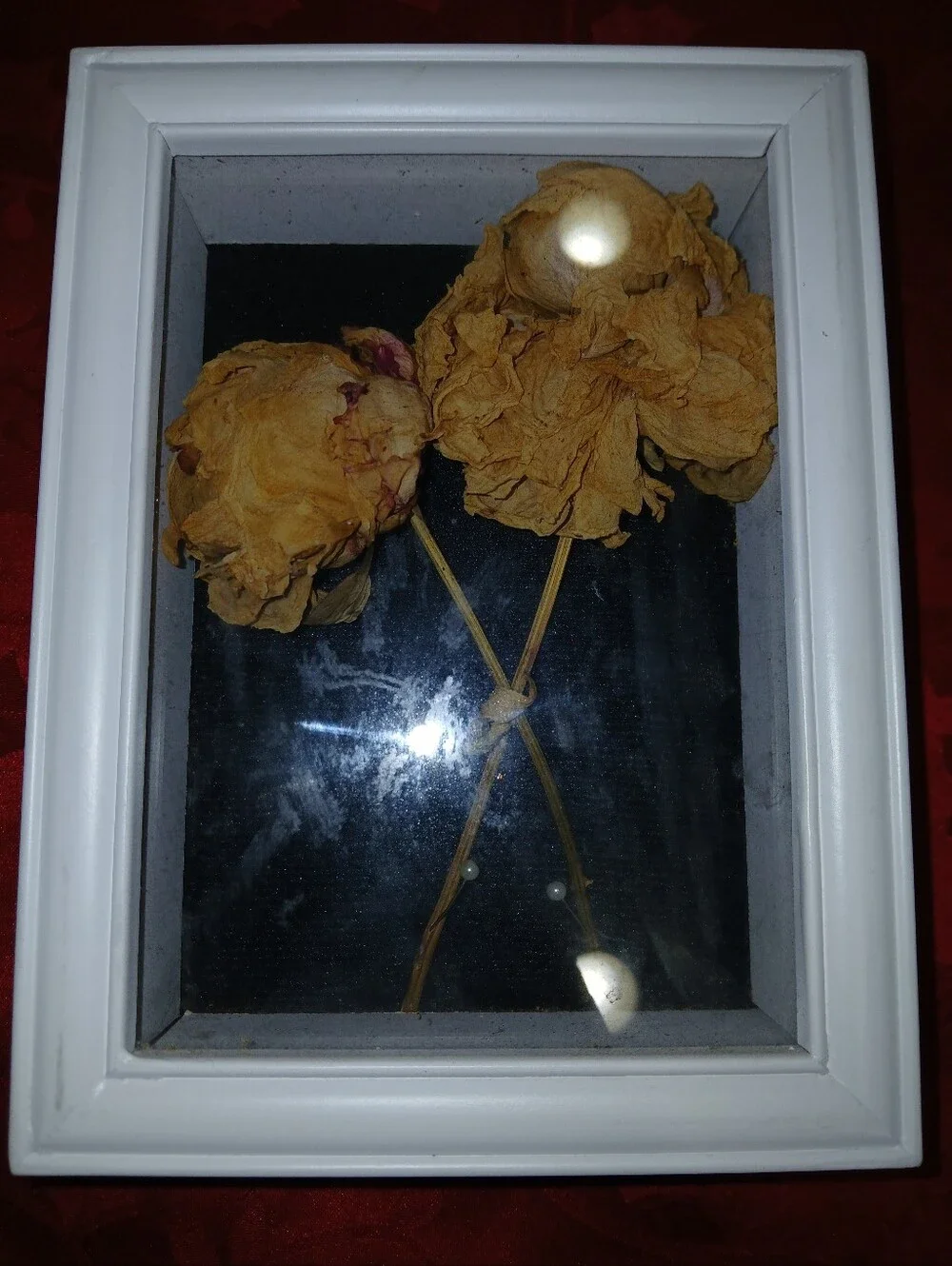 Shabby Chic Dried Flower Shadow Box Cottagecore Decor